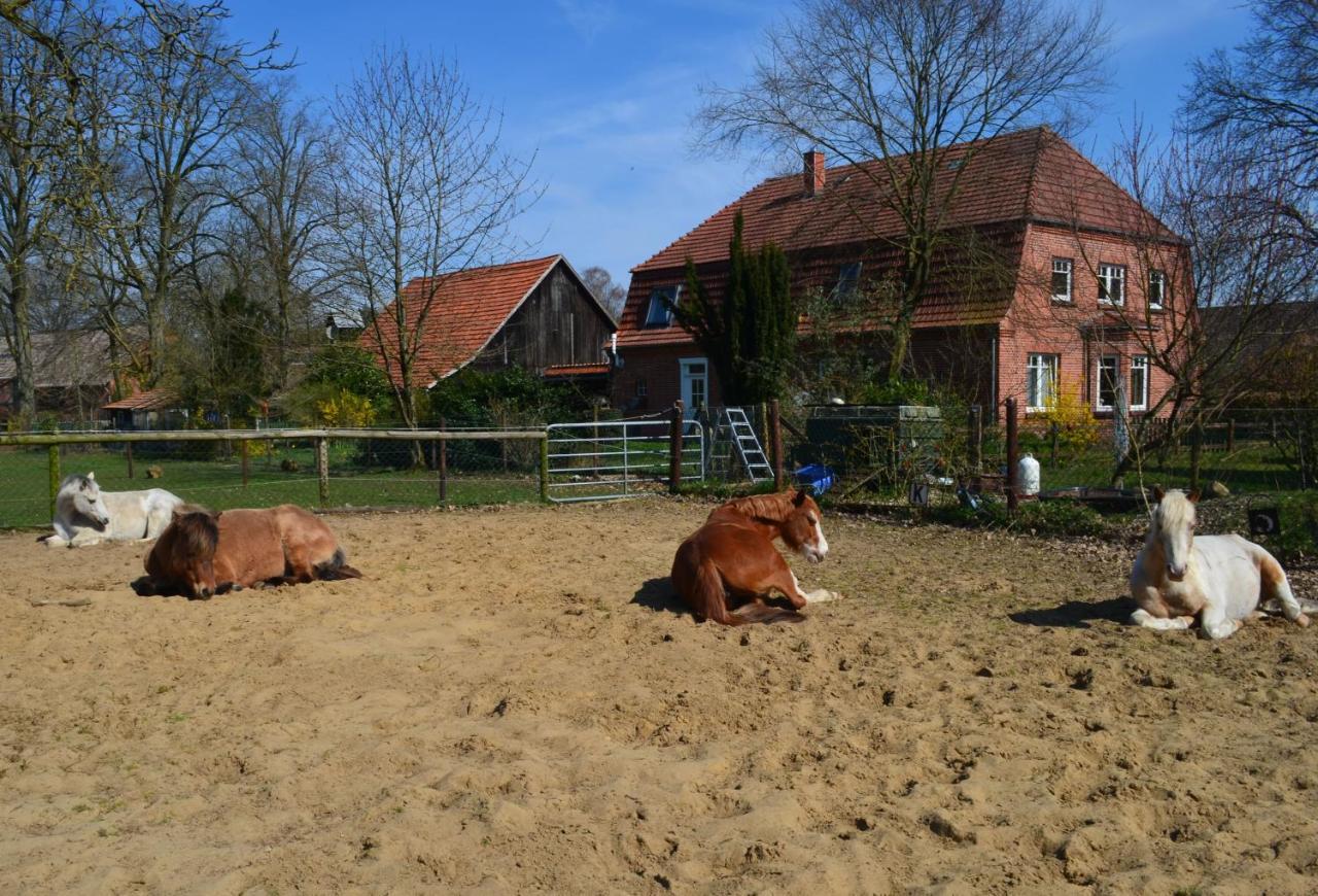 Ferienwohnung Noltenius Bulstedt 외부 사진